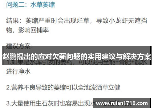 赵鹏提出的应对欠薪问题的实用建议与解决方案