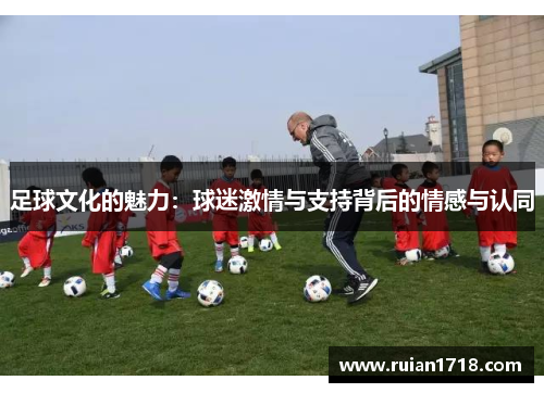 足球文化的魅力：球迷激情与支持背后的情感与认同