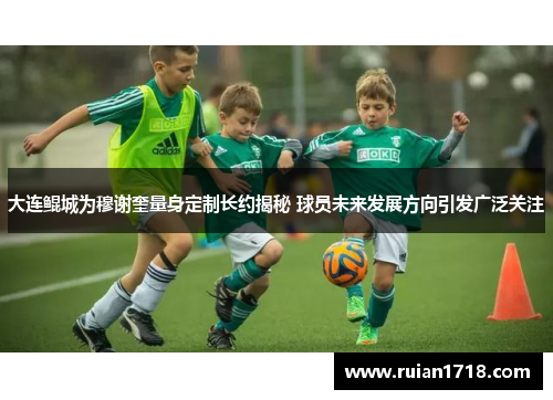 大连鲲城为穆谢奎量身定制长约揭秘 球员未来发展方向引发广泛关注